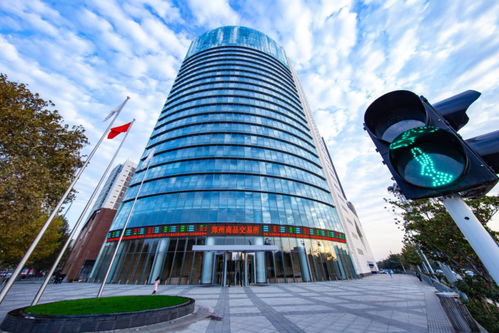 聚焦河南自貿五周年 自貿區政策賦能，鄭商所將新設商品交易中心