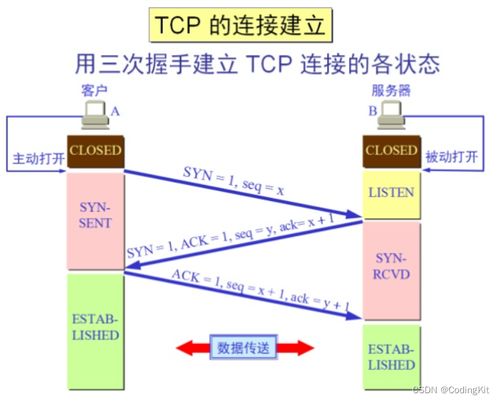 TCP協(xié)議在計(jì)算機(jī)網(wǎng)絡(luò)技術(shù)服務(wù)中的核心作用